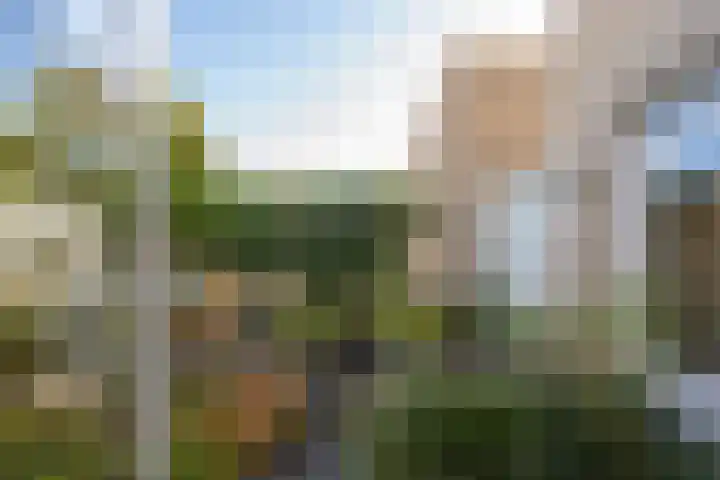 Ruisvoorn 11 Tiel thumbnail 44