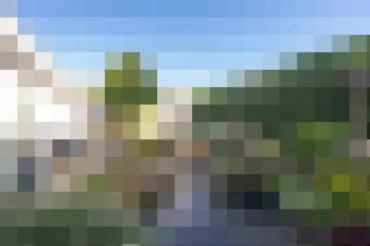 Ruisvoorn 11 Tiel thumbnail 45