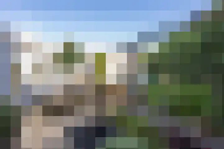 Ruisvoorn 11 Tiel thumbnail 46