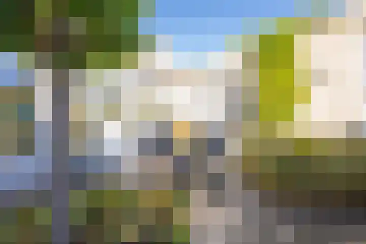 Ruisvoorn 11 Tiel thumbnail 48