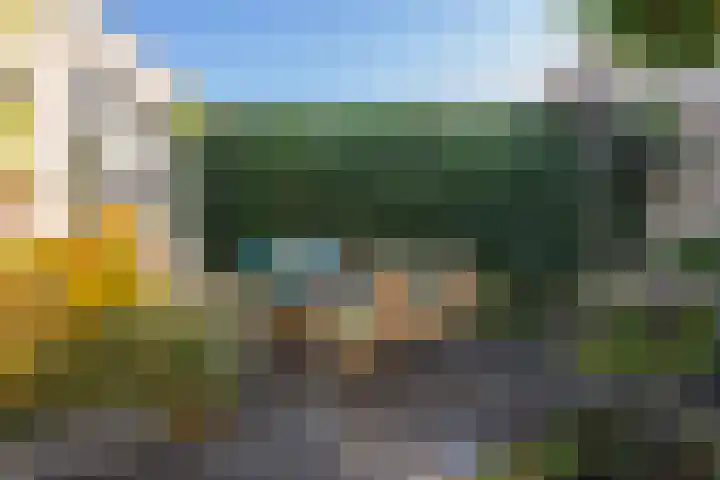 Ruisvoorn 11 Tiel thumbnail 49