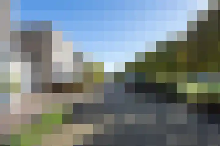 Ruisvoorn 11 Tiel thumbnail 5