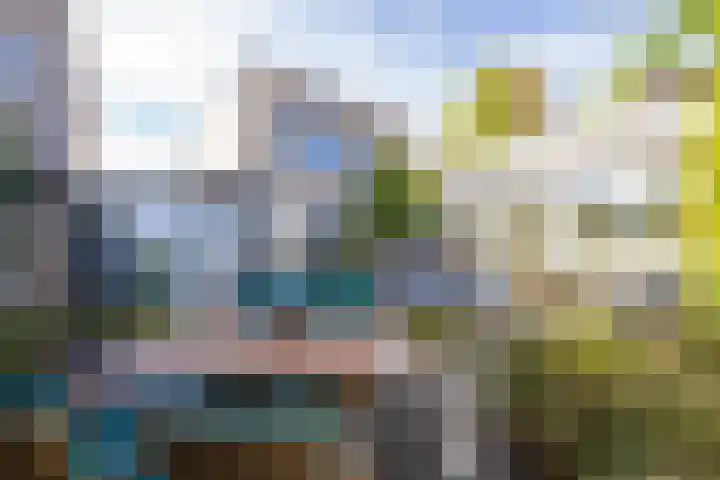 Ruisvoorn 11 Tiel thumbnail 50