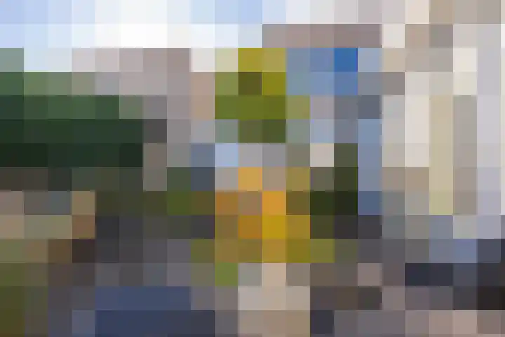 Ruisvoorn 11 Tiel thumbnail 51