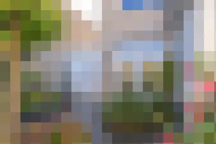 Ruisvoorn 11 Tiel thumbnail 52
