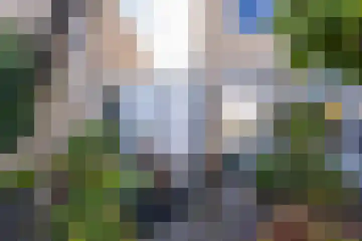 Ruisvoorn 11 Tiel thumbnail 53