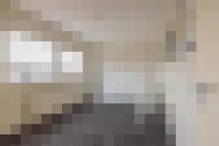 Ruisvoorn 11 Tiel thumbnail 58