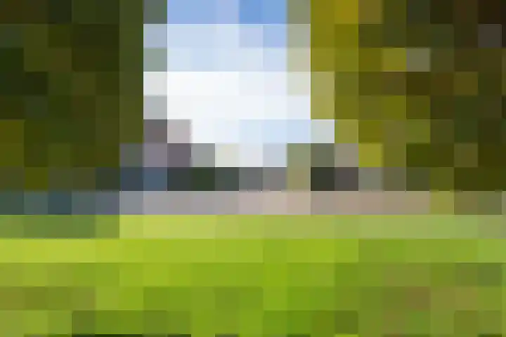 Ruisvoorn 11 Tiel thumbnail 6