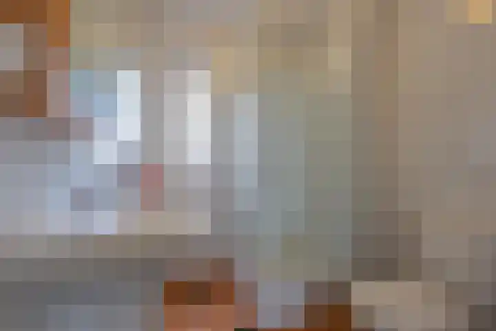 Ruisvoorn 11 Tiel thumbnail 60