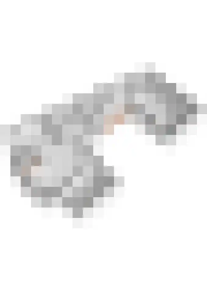 Ruisvoorn 11 Tiel thumbnail 63