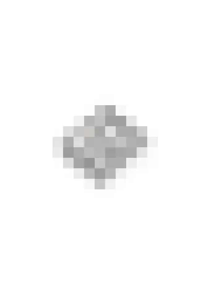 Ruisvoorn 11 Tiel thumbnail 65