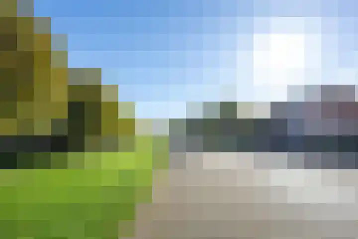 Ruisvoorn 11 Tiel thumbnail 7