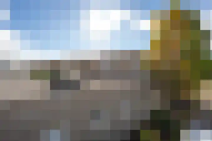 Ruisvoorn 11 Tiel thumbnail 8