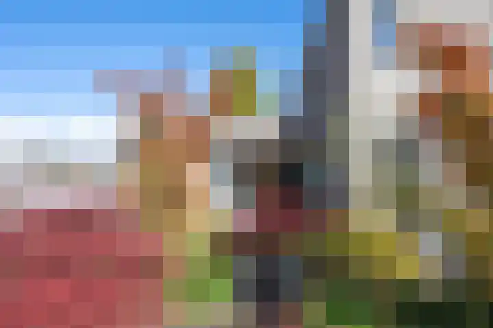 Ruisvoorn 11 Tiel thumbnail 9