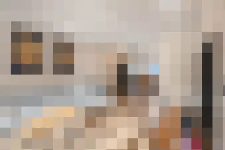 Ruisvoorn 122 Tiel thumbnail 10