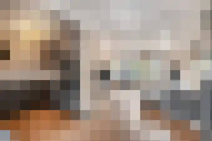 Ruisvoorn 122 Tiel thumbnail 11