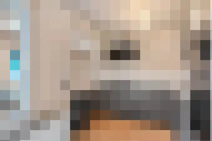 Ruisvoorn 122 Tiel thumbnail 12