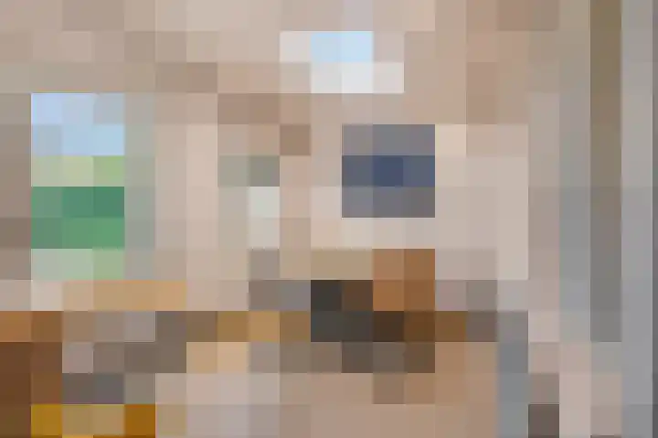Ruisvoorn 122 Tiel thumbnail 14