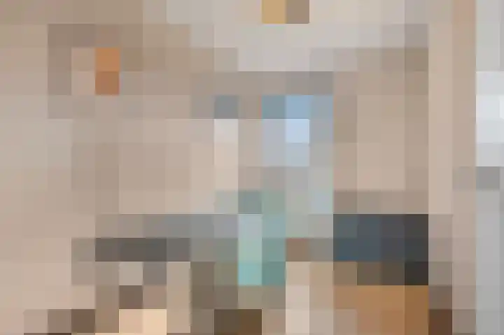 Ruisvoorn 122 Tiel thumbnail 20