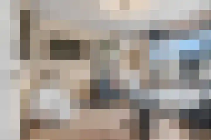 Ruisvoorn 122 Tiel thumbnail 21