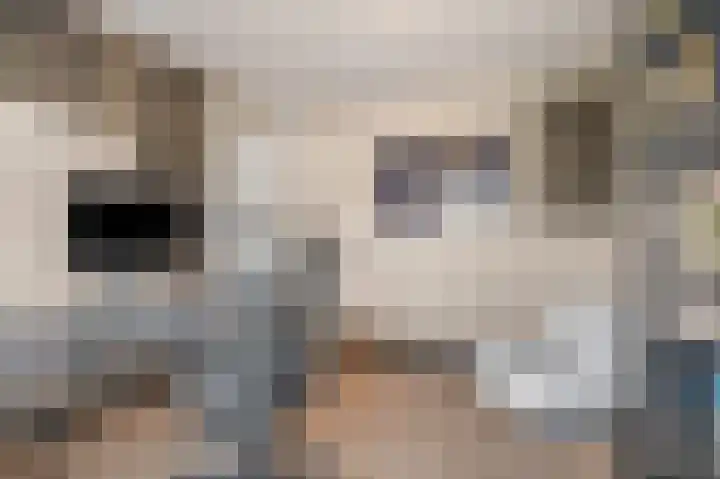 Ruisvoorn 122 Tiel thumbnail 22