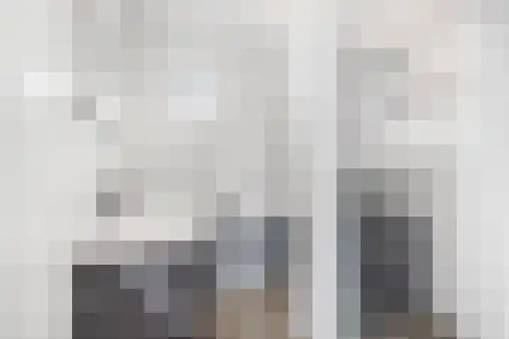 Ruisvoorn 122 Tiel thumbnail 23
