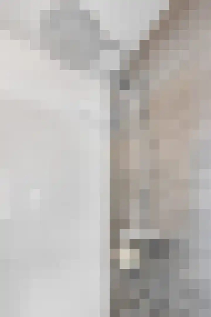 Ruisvoorn 122 Tiel thumbnail 25