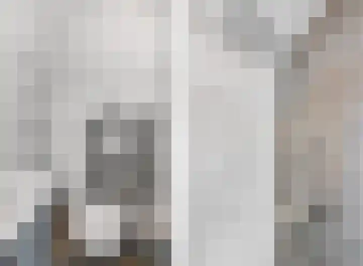 Ruisvoorn 122 Tiel thumbnail 26