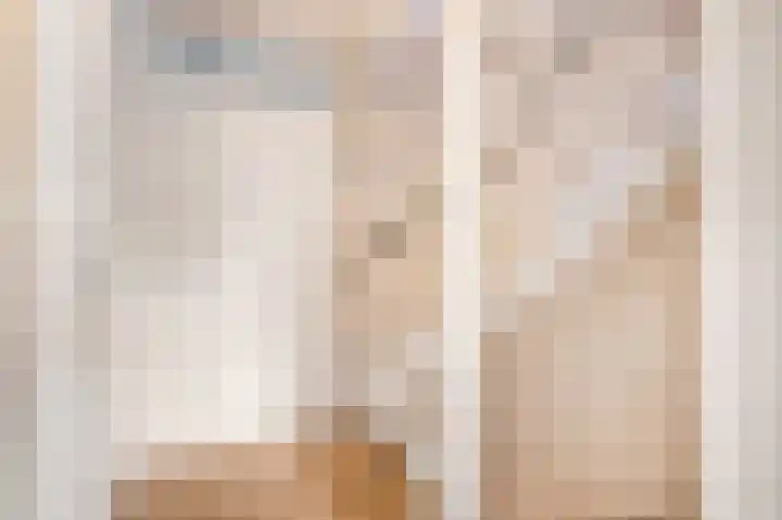 Ruisvoorn 122 Tiel thumbnail 27