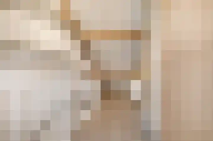 Ruisvoorn 122 Tiel thumbnail 30