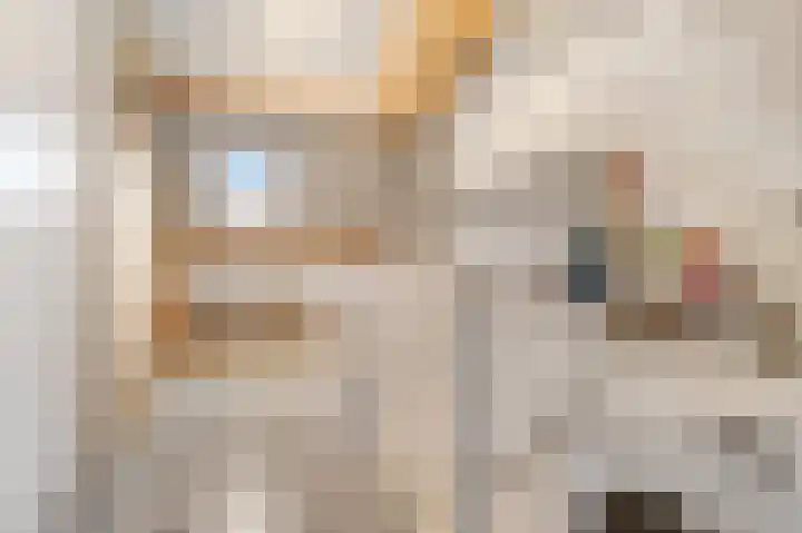 Ruisvoorn 122 Tiel thumbnail 31