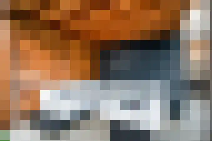 Ruisvoorn 122 Tiel thumbnail 33