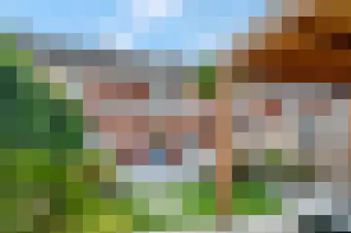 Ruisvoorn 122 Tiel thumbnail 34