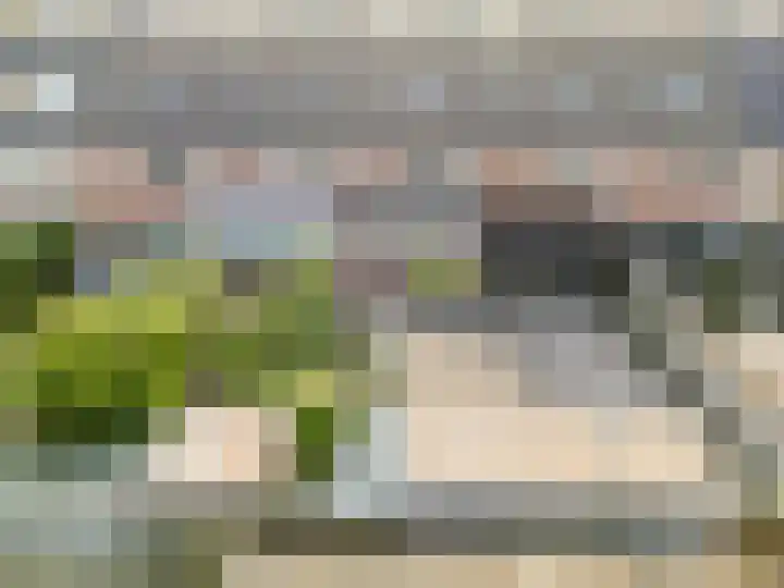Ruisvoorn 122 Tiel thumbnail 35