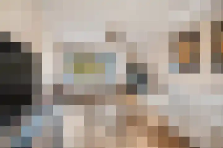 Ruisvoorn 122 Tiel thumbnail 7