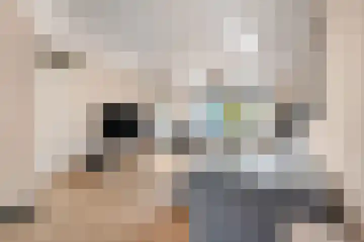 Ruisvoorn 122 Tiel thumbnail 8