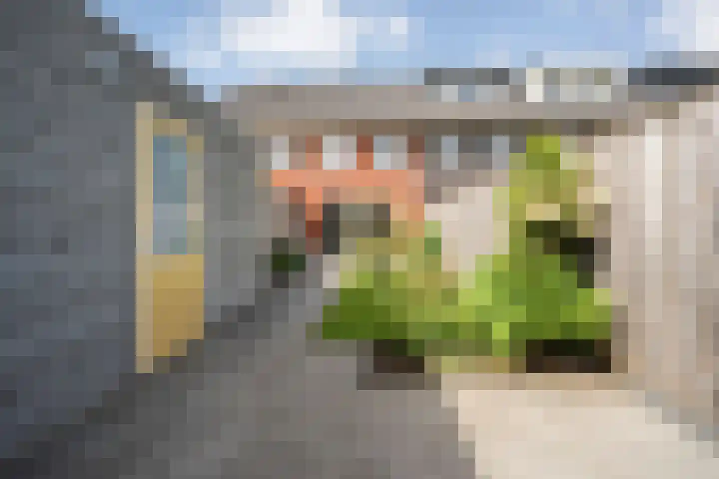 Ruisvoorn 13 Nieuwleusen thumbnail 29
