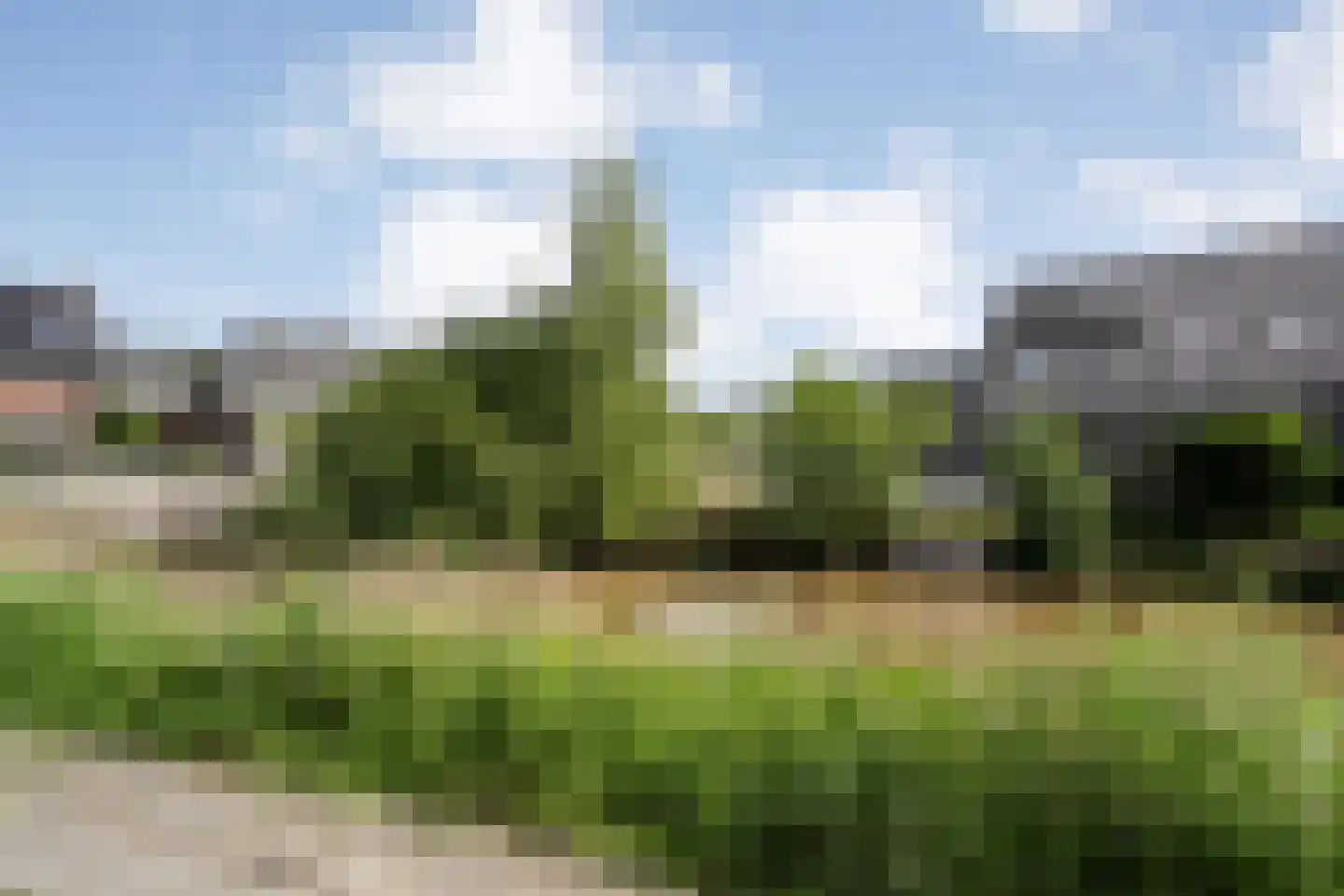 Ruisvoorn 13 Nieuwleusen thumbnail 30