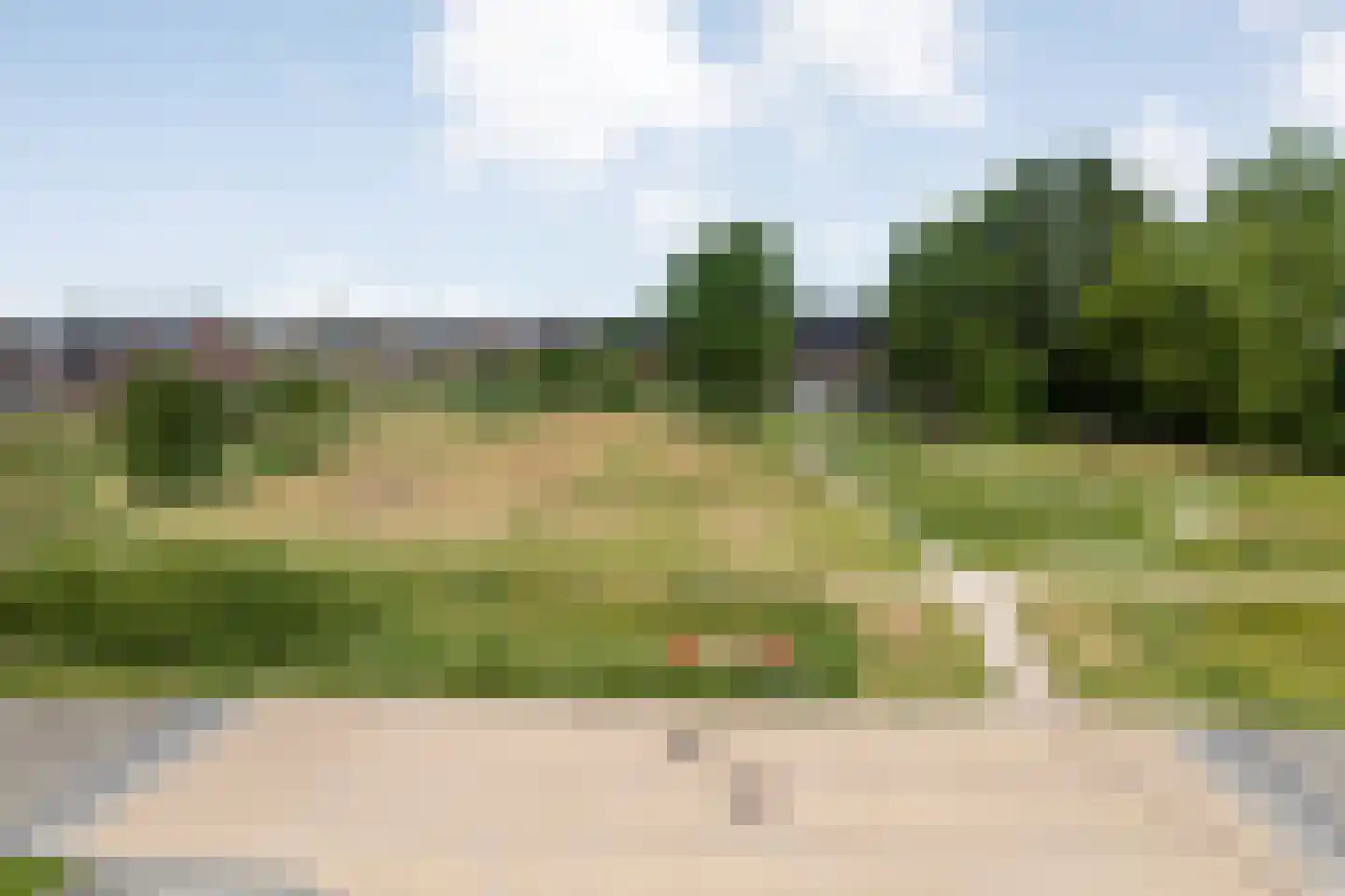 Ruisvoorn 13 Nieuwleusen thumbnail 31