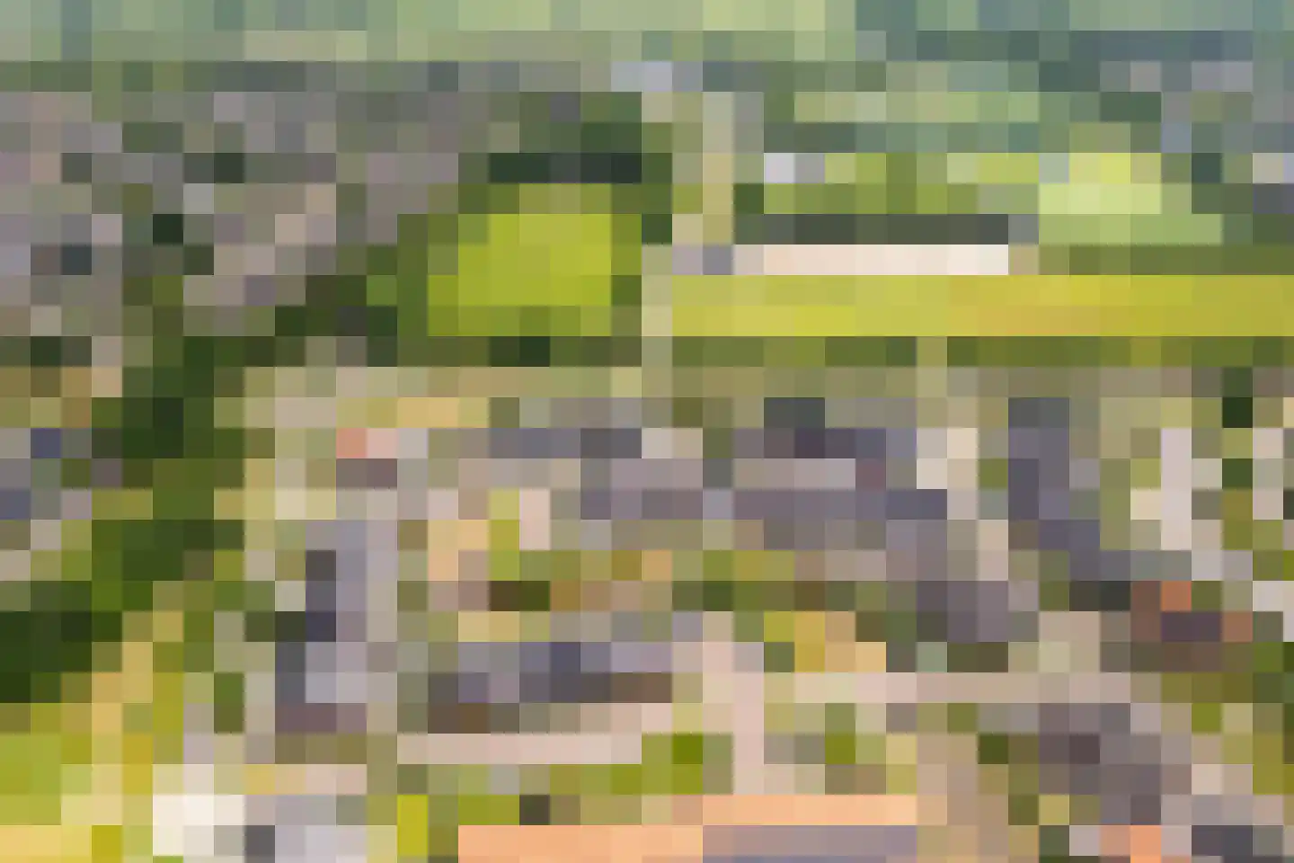 Ruisvoorn 13 Nieuwleusen thumbnail 6
