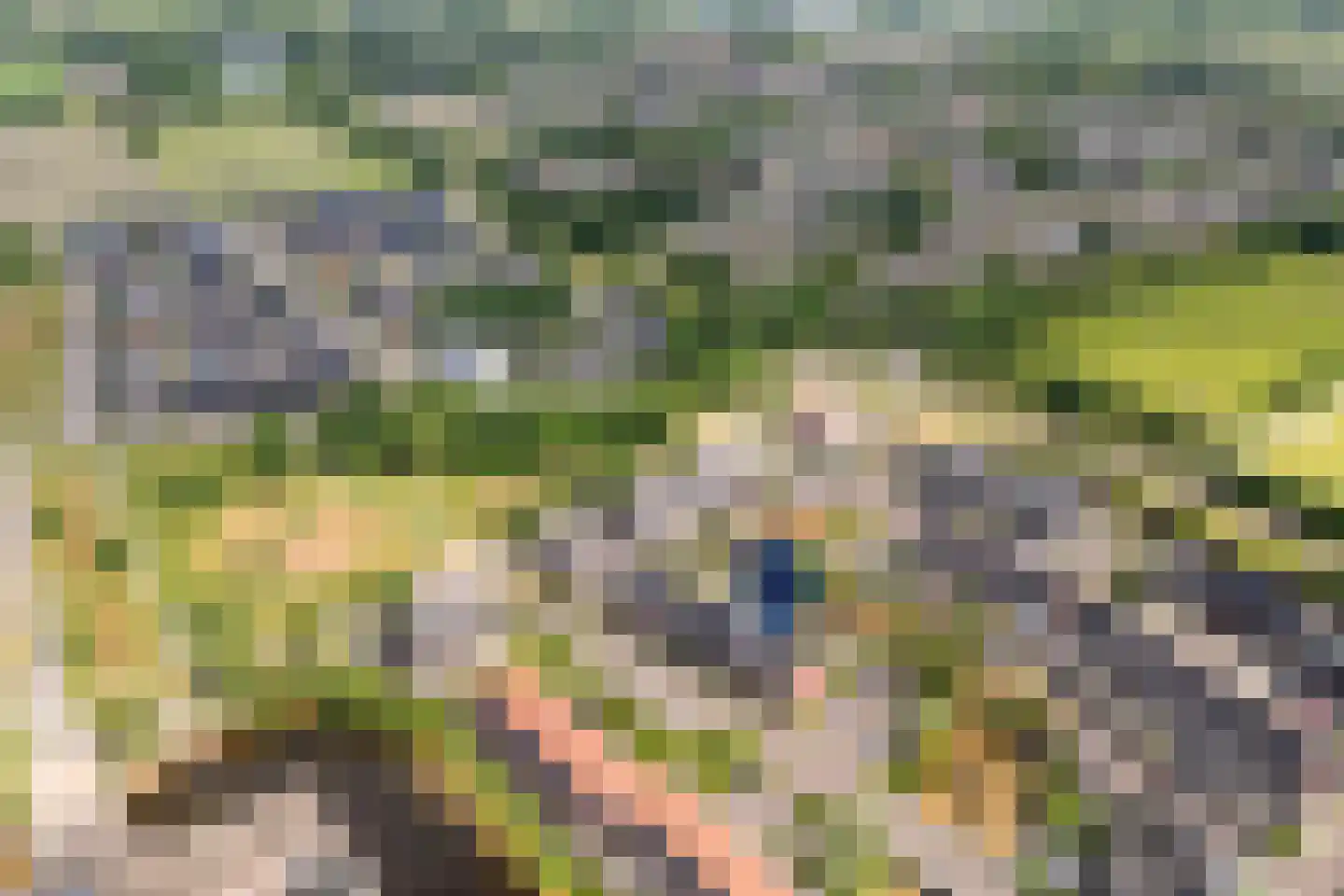 Ruisvoorn 13 Nieuwleusen thumbnail 7