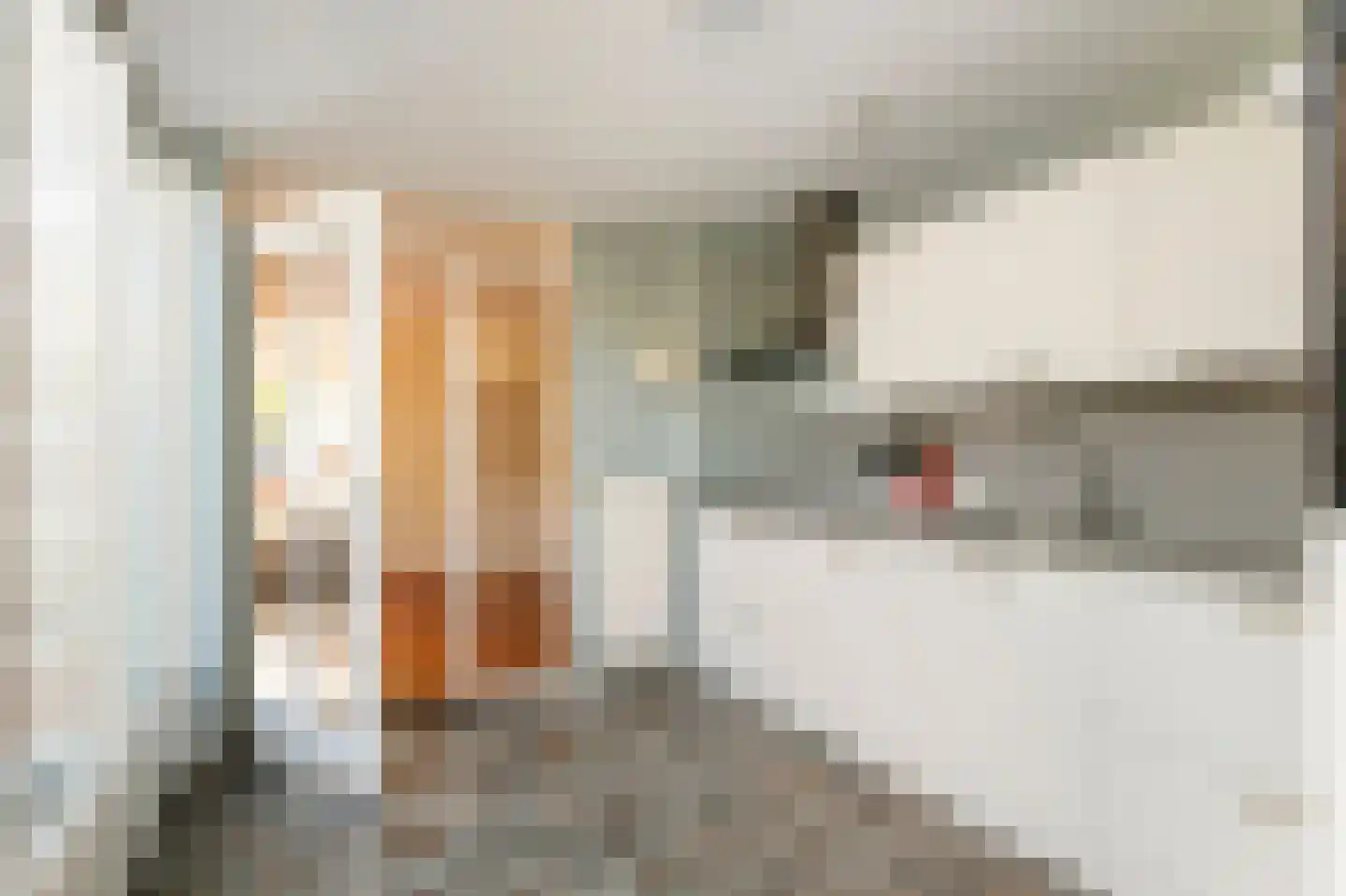 Ruisvoorn 13 Tiel thumbnail 15