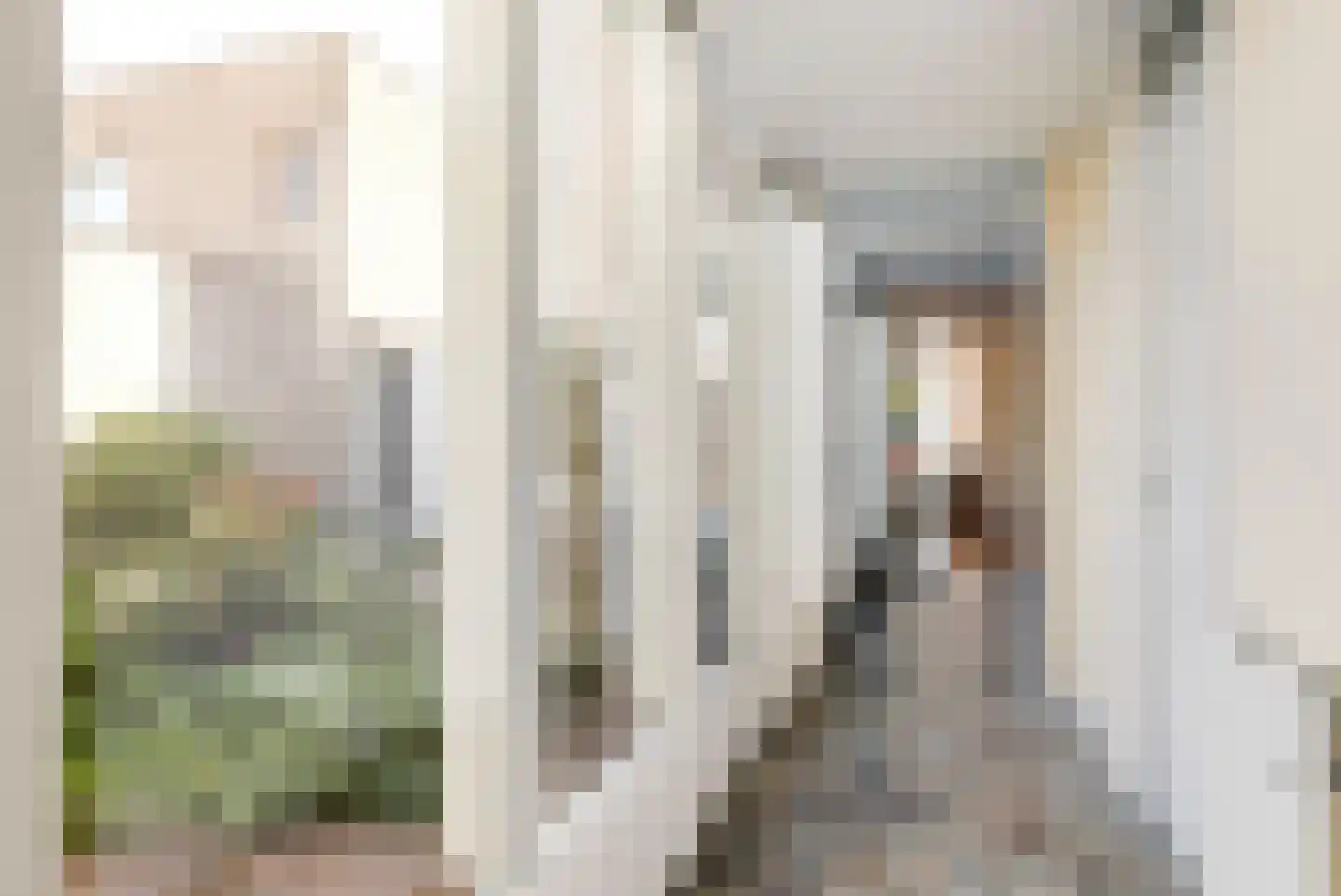 Ruisvoorn 13 Tiel thumbnail 17