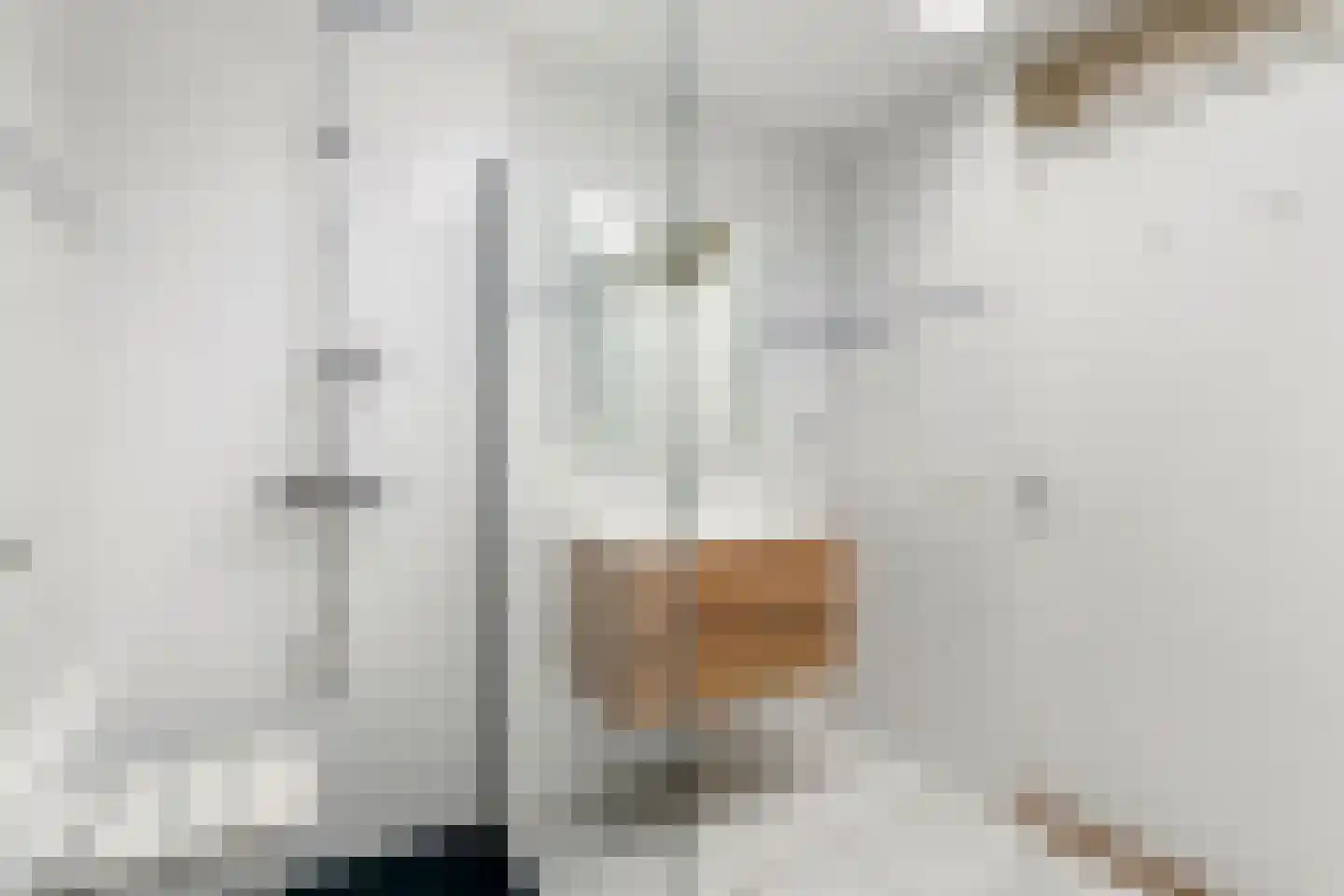 Ruisvoorn 13 Tiel thumbnail 22