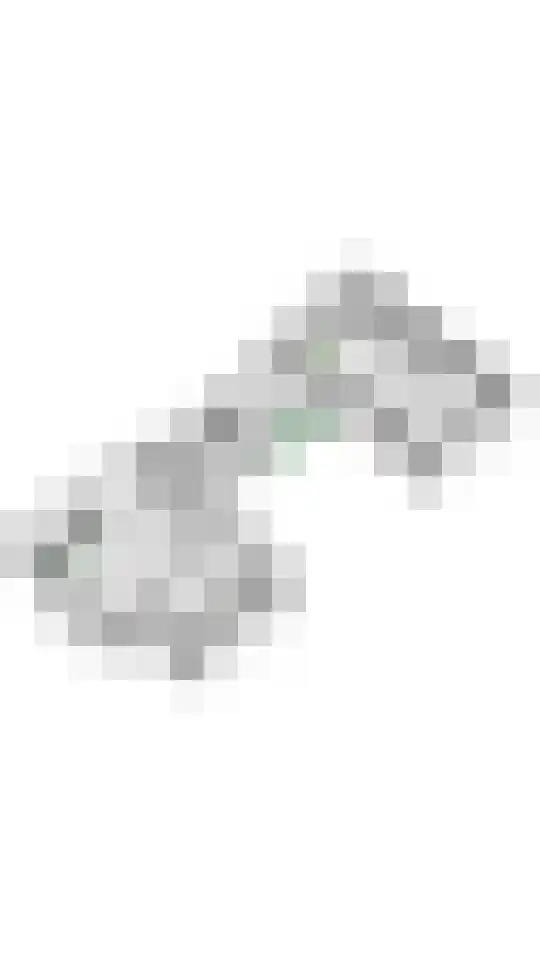 Ruisvoorn 13 Tiel thumbnail 43