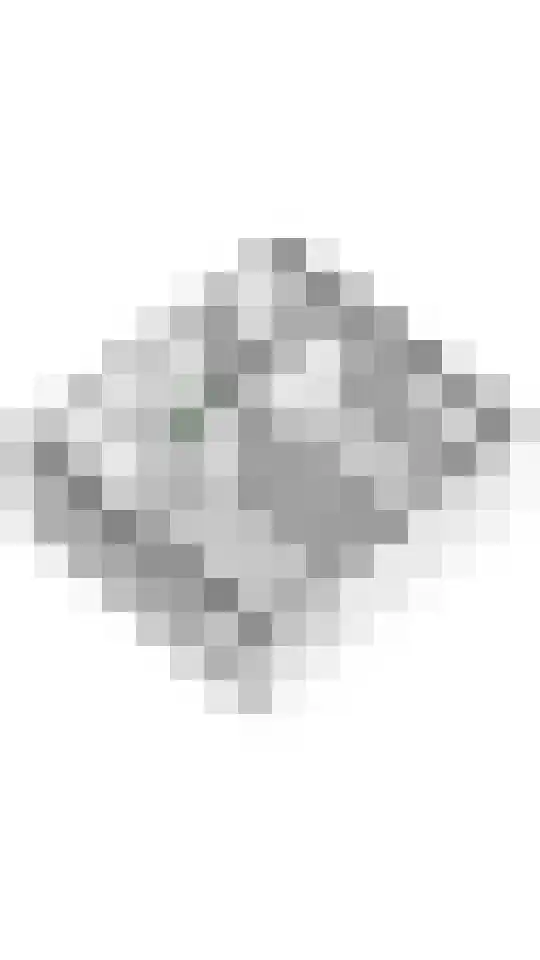 Ruisvoorn 13 Tiel thumbnail 45
