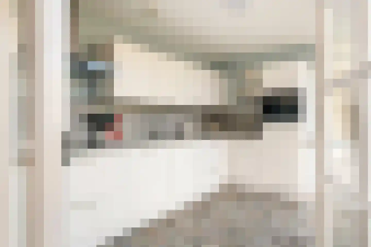 Ruisvoorn 13 Tiel thumbnail 5