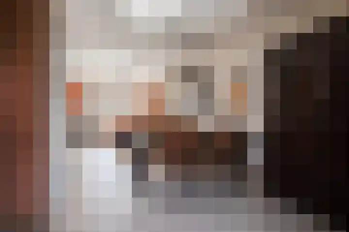 Ruisvoorn 162 Tiel thumbnail 10