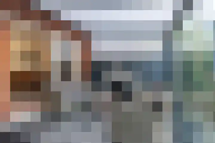 Ruisvoorn 162 Tiel thumbnail 11