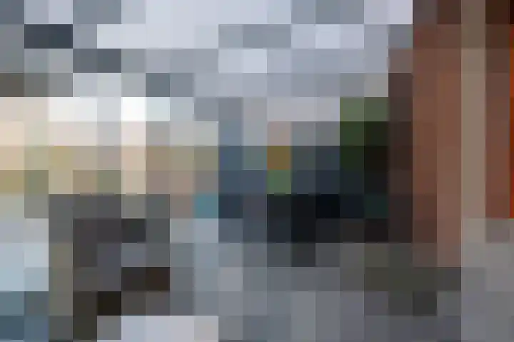 Ruisvoorn 162 Tiel thumbnail 12